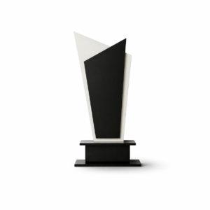 Abstract Duo Acrylic Trophy